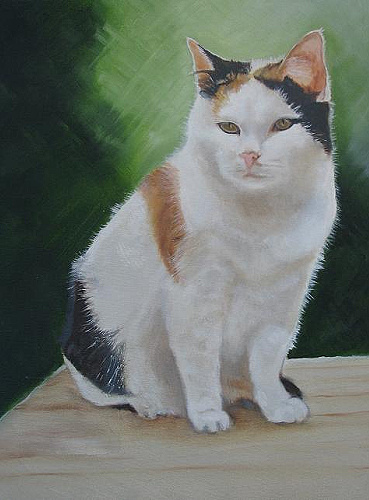 Linda de Jong - Schilderijen